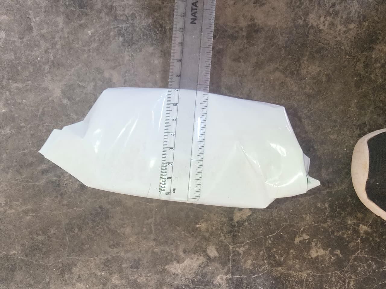 Lantana Camara Live Plant