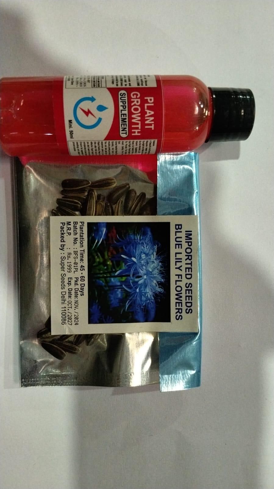 Lily Equinox Flower Bulbs Seeds